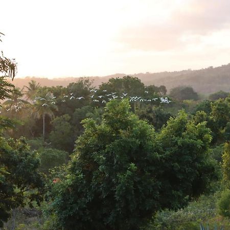 Sumba Nautil Resort Deke Εξωτερικό φωτογραφία