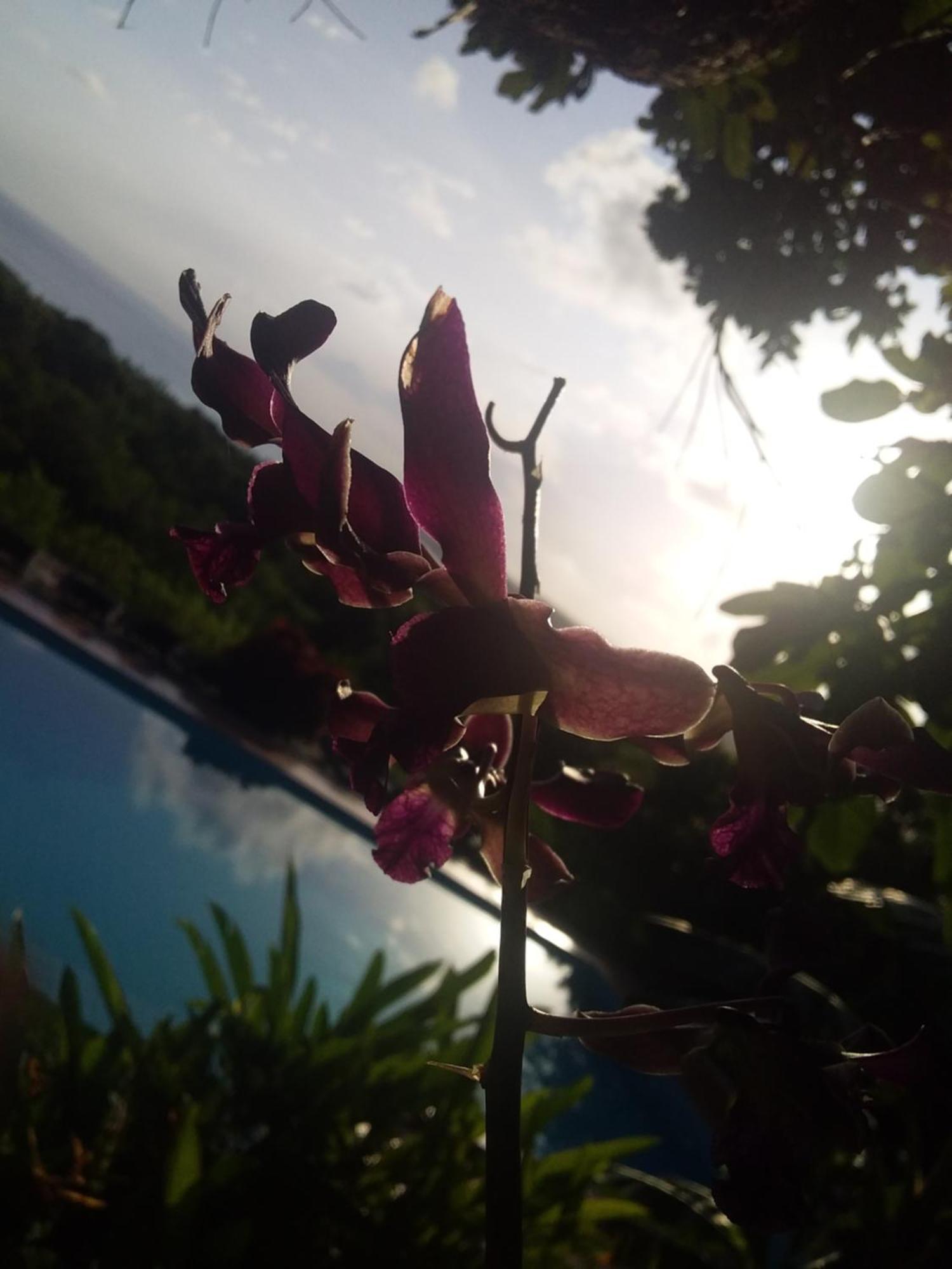 Sumba Nautil Resort Deke Εξωτερικό φωτογραφία
